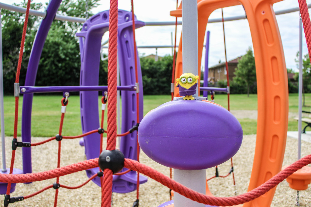 20470424401_c45037c6bc_o