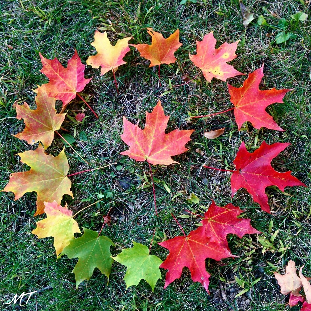 autumn_16620479020_o