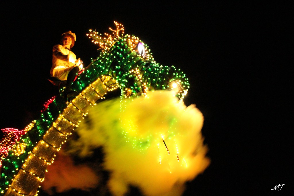 disneyworld---orlando_16768259222_o