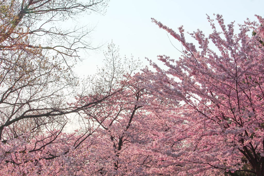 img_3744_18534389849_o