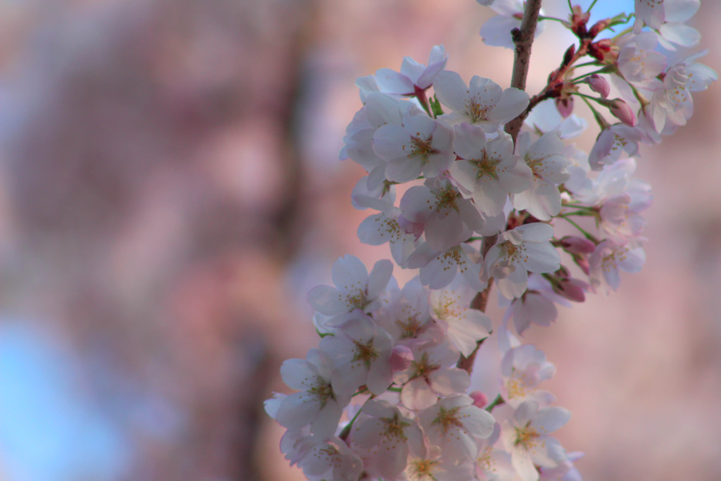 img_3848_18723397561_o