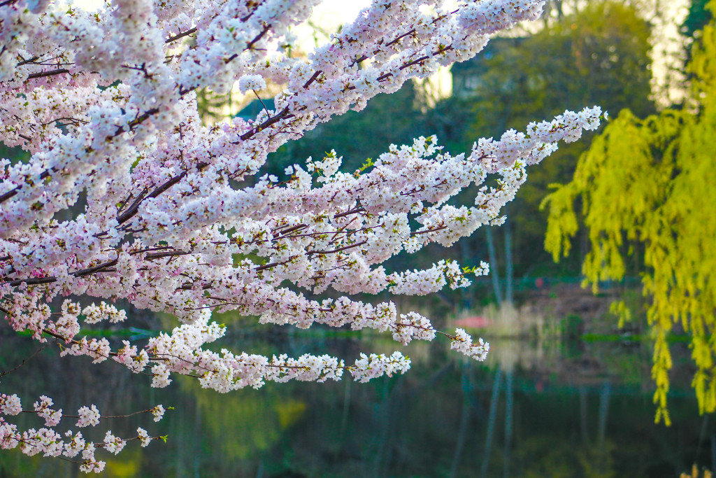 img_3941_18098565324_o